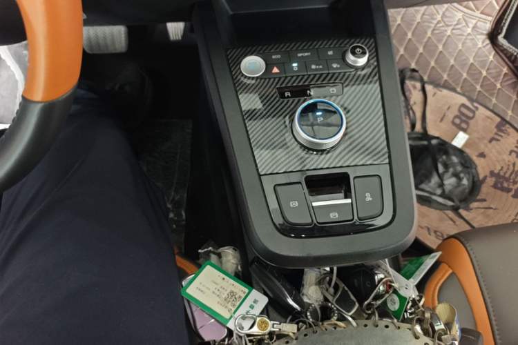 Used BYD e2 2020 Upgraded Version Long-Range Edition Luxury Model Gear Lever