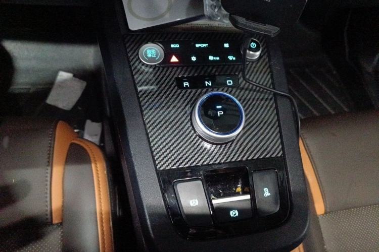 Used BYD e2 2020 Upgraded Model Standard Range Version Comfort Edition Gear Lever