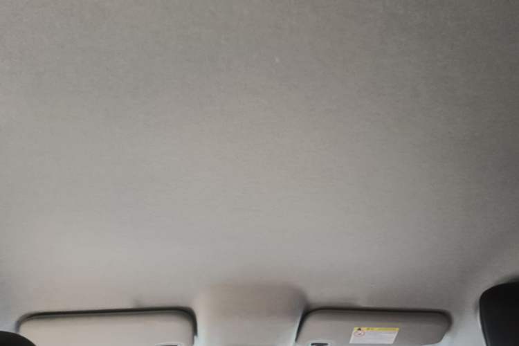 Used BYD e2 2020 Upgraded Version Long-Range Edition Luxury Model Headliner