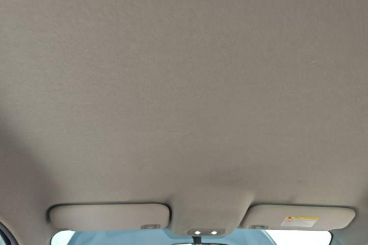 Used BYD e2 2020 Upgraded Version Long-Range Edition Luxury Model Headliner