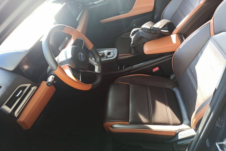 Used BYD e2 2020 Upgraded Model Standard Range Version Comfort Edition Left Front Seat
