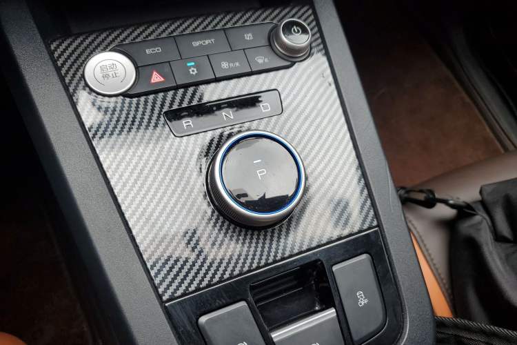 Used BYD e2 2020 Upgraded Version Long-Range Edition Luxury Model Gear Lever