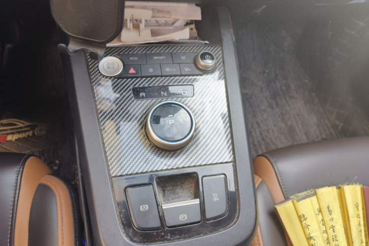 Used BYD e2 2020 Upgraded Version Long-Range Edition Luxury Model Gear Lever