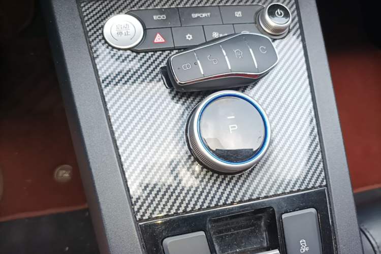 Used BYD e2 2020 Upgraded Version Long-Range Edition Luxury Model Gear Lever