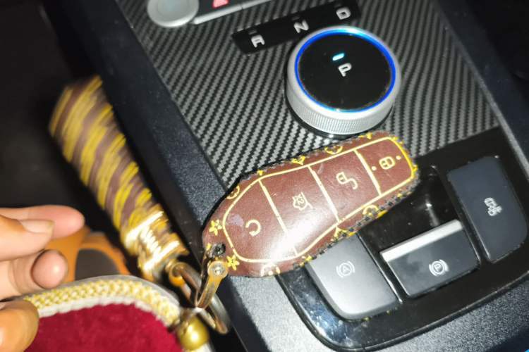 Used BYD e2 2020 Upgraded Version Long-Range Edition Luxury Model Vehicle Key