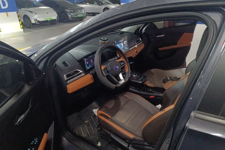 Used BYD e2 2020 Upgraded Model Standard Range Version Comfort Edition Driver Seat