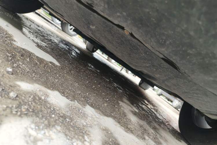 Used BYD e2 2020 Upgraded Version Extended Range Edition Premium Model Chassis Front