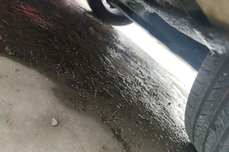 Used BYD e2 2020 Upgraded Version Extended Range Edition Premium Model Chassis Front Right