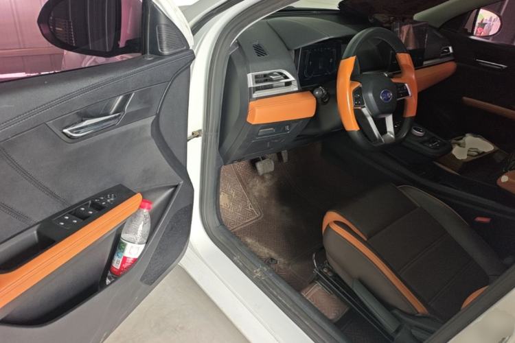 Used BYD e2 2020 Upgraded Version Long-Range Edition Luxury Model Driver Seat
