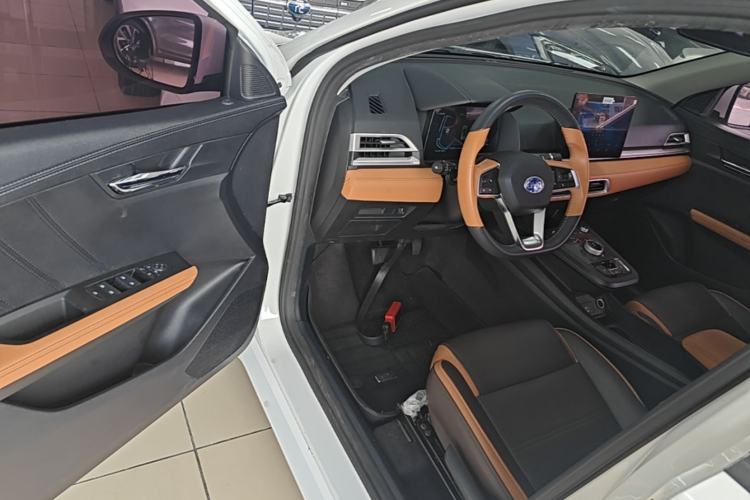 Used BYD e2 2020 Upgraded Version Long-Range Edition Luxury Model Driver Seat