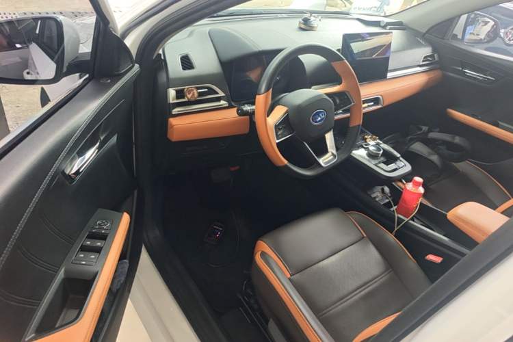 Used BYD e2 2020 Upgraded Version Long-Range Edition Luxury Model Driver Seat