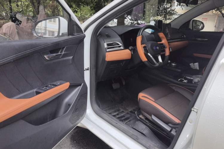 Used BYD e2 2020 Upgraded Version Long-Range Edition Luxury Model Driver Seat