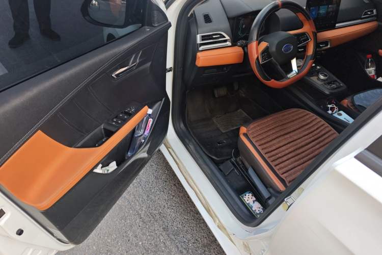 Used BYD e2 2020 Upgraded Version Long-Range Edition Luxury Model Driver Seat