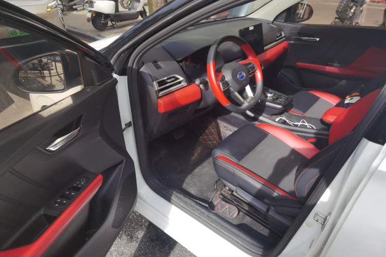 Used BYD e2 2020 Upgraded Version Long-Range Edition Luxury Model Driver Seat