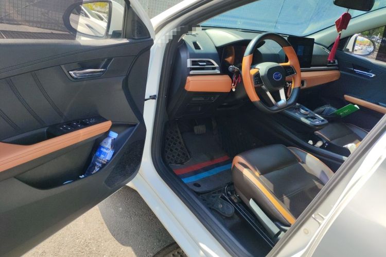 Used BYD e2 2020 Upgraded Model Standard Range Version Comfort Edition Driver Seat
