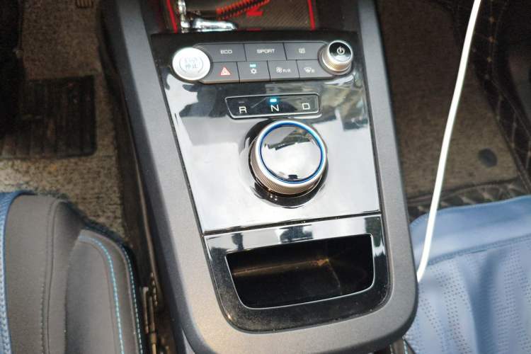 Used BYD e2 2020 Upgraded Model Standard Range Version Standard Configuration Gear Lever
