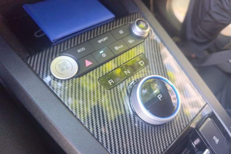 Used BYD e2 2020 Upgraded Version Long-Range Edition Luxury Model Gear Lever