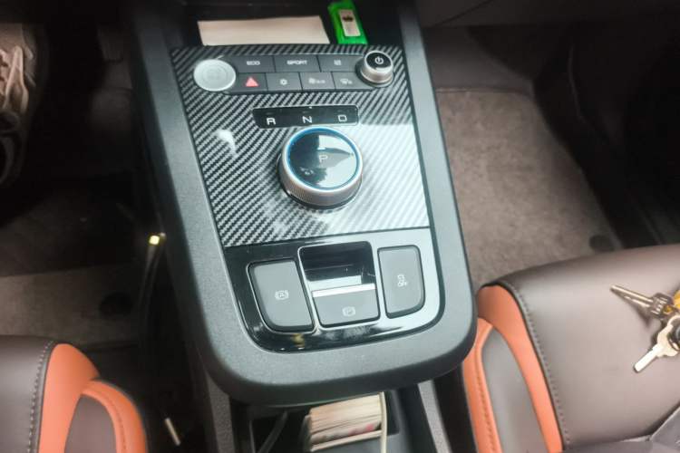 Used BYD e2 2020 Upgraded Version Long-Range Edition Luxury Model Gear Lever