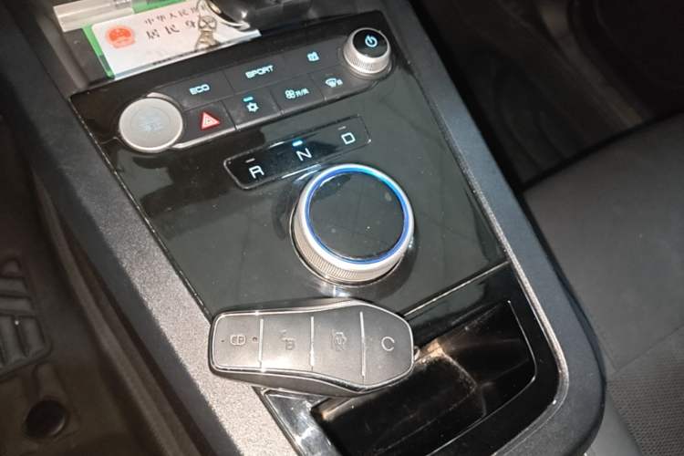 Used BYD e2 2020 Upgraded Model Standard Range Version Standard Configuration Gear Lever