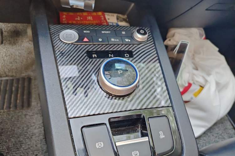 Used BYD e2 2020 Upgraded Version Extended Range Edition Premium Model Gear Lever