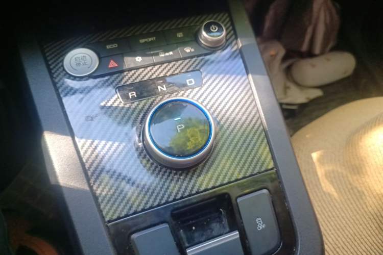 Used BYD e2 2020 Upgraded Version Long-Range Edition Luxury Model Gear Lever