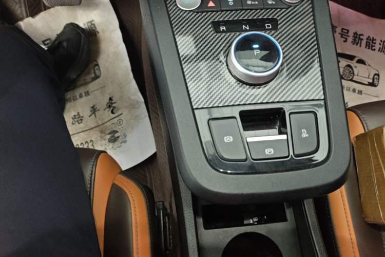 Used BYD e2 2020 Upgraded Version Long-Range Edition Luxury Model Gear Lever