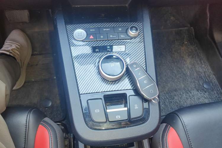 Used BYD e2 2020 Upgraded Version Long-Range Edition Luxury Model Gear Lever