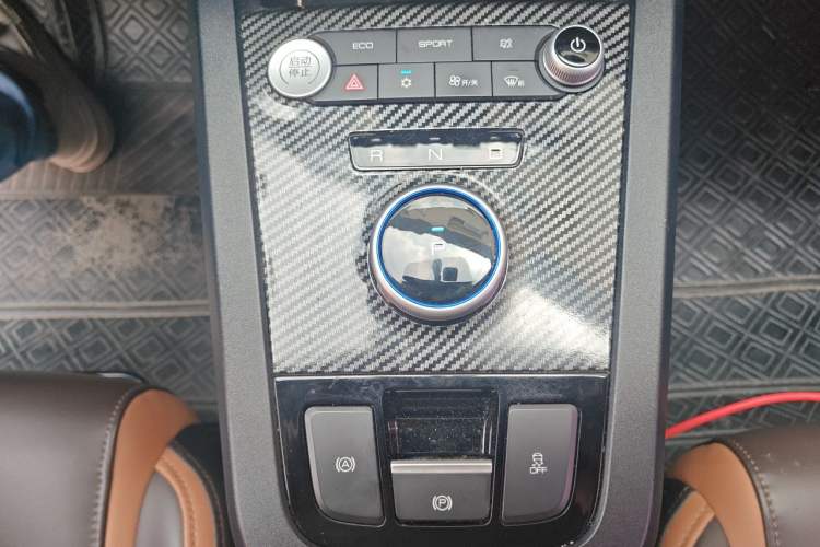Used BYD e2 2020 Upgraded Version Long-Range Edition Luxury Model Gear Lever