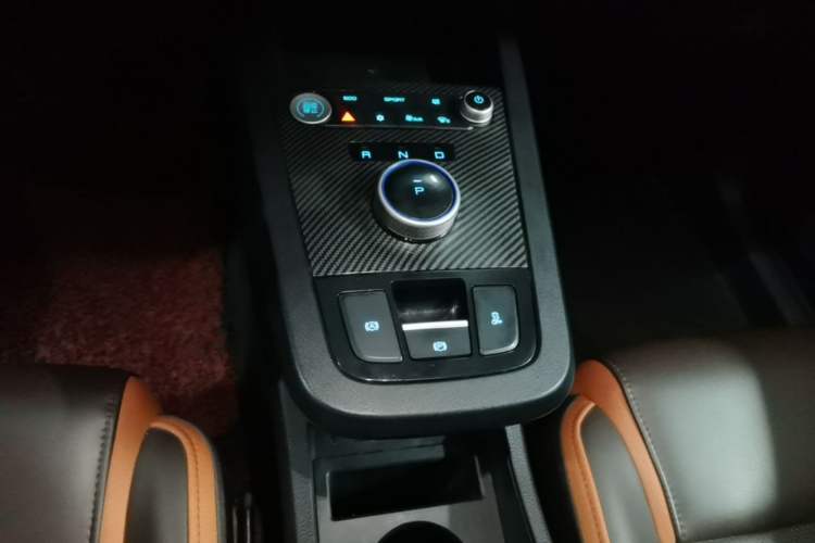Used BYD e2 2020 Upgraded Version Long-Range Edition Luxury Model Gear Lever