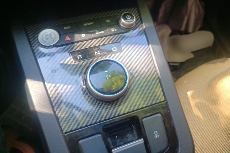 Used BYD e2 2020 Upgraded Version Long-Range Edition Luxury Model Gear Lever