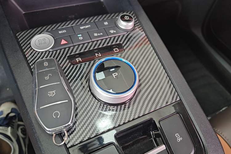 Used BYD e2 2020 Upgraded Version Long-Range Edition Luxury Model Gear Lever