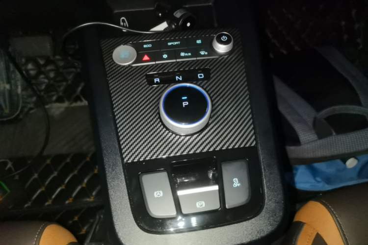 Used BYD e2 2020 Upgraded Model Standard Range Version Comfort Edition Gear Lever