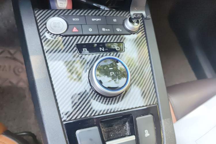 Used BYD e2 2020 Upgraded Version Extended Range Edition Premium Model Gear Lever