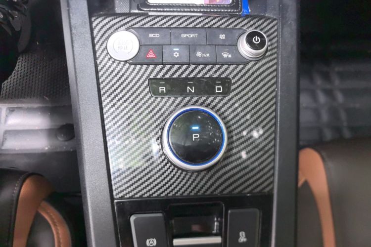 Used BYD e2 2020 Upgraded Version Long-Range Edition Luxury Model Gear Lever