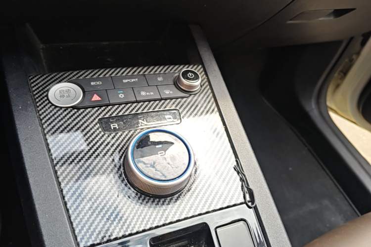 Used BYD e2 2020 Upgraded Version Long-Range Edition Luxury Model Gear Lever
