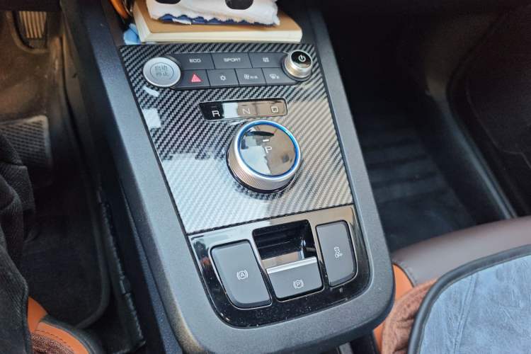 Used BYD e2 2020 Upgraded Version Long-Range Edition Luxury Model Gear Lever