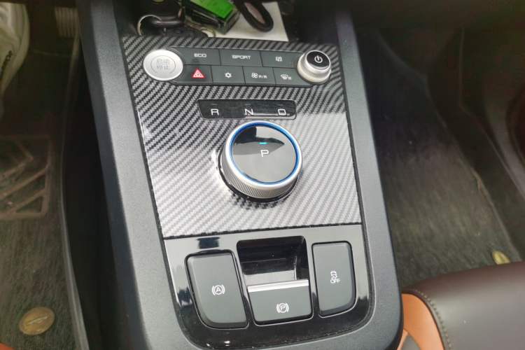 Used BYD e2 2020 Upgraded Model Standard Range Version Comfort Edition Gear Lever