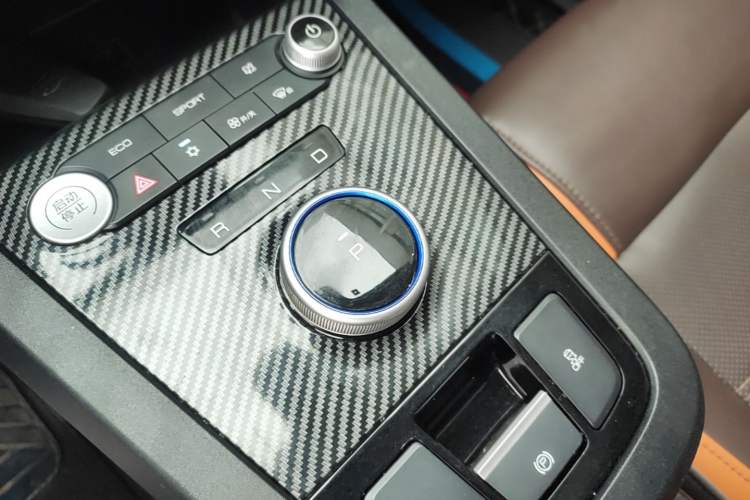 Used BYD e2 2020 Upgraded Version Extended Range Edition Premium Model Gear Lever