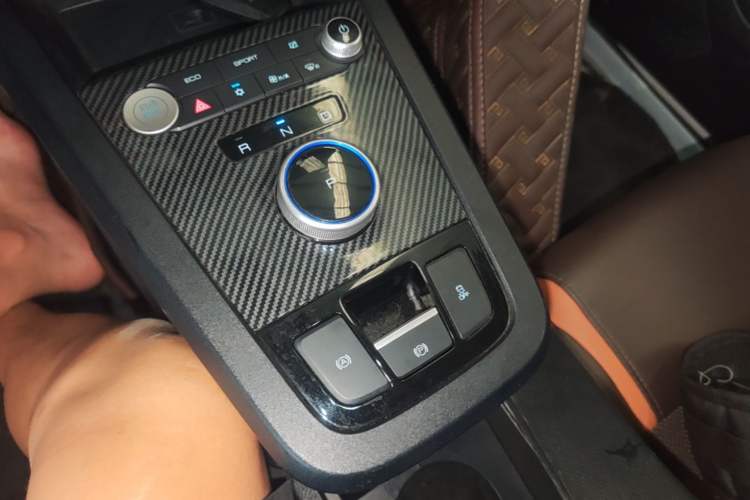 Used BYD e2 2020 Upgraded Model Standard Range Version Comfort Edition Gear Lever