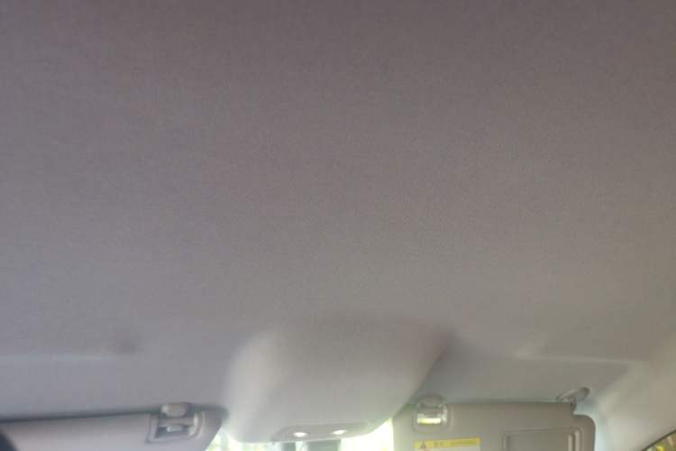 Used BYD e2 2020 Upgraded Version Long-Range Edition Luxury Model Headliner