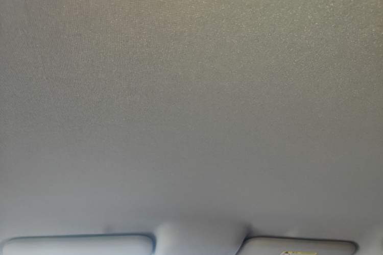 Used BYD e2 2020 Upgraded Version Long-Range Edition Luxury Model Headliner