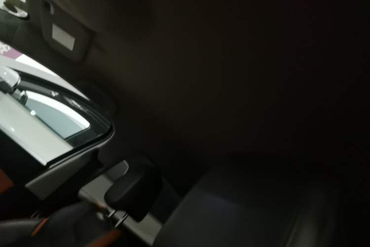 Used BYD e2 2020 Upgraded Version Long-Range Edition Luxury Model Headliner