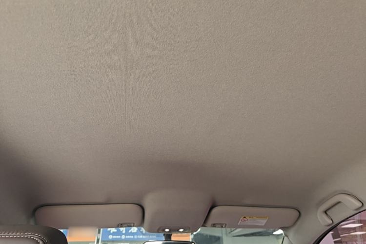 Used BYD e2 2020 Upgraded Version Long-Range Edition Luxury Model Headliner