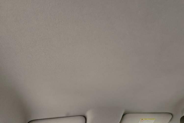 Used BYD e2 2020 Upgraded Version Long-Range Edition Luxury Model Headliner