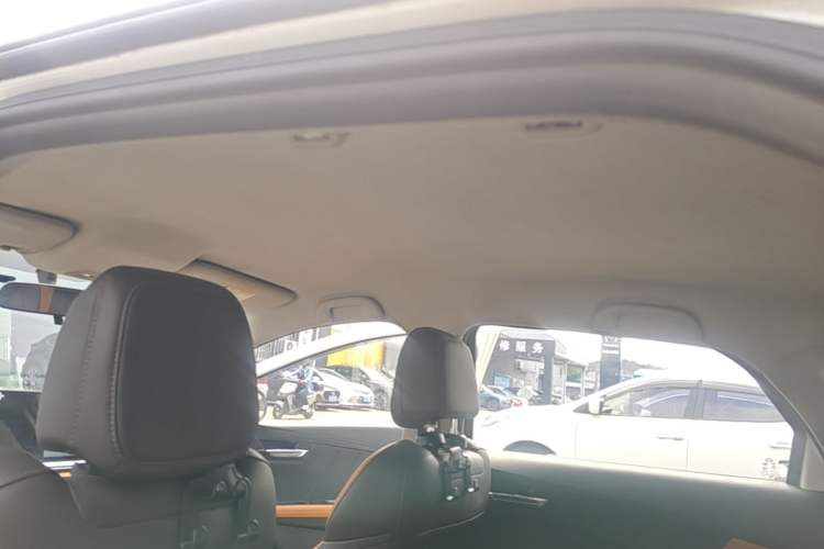 Used BYD e2 2020 Upgraded Version Long-Range Edition Luxury Model Headliner