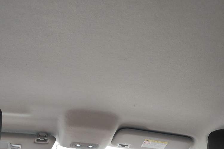 Used BYD e2 2020 Upgraded Version Long-Range Edition Luxury Model Headliner