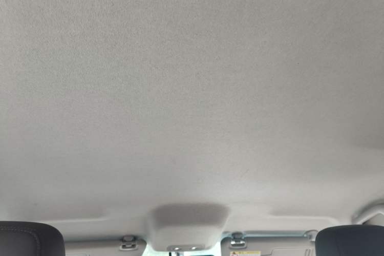 Used BYD e2 2020 Upgraded Version Long-Range Edition Luxury Model Headliner