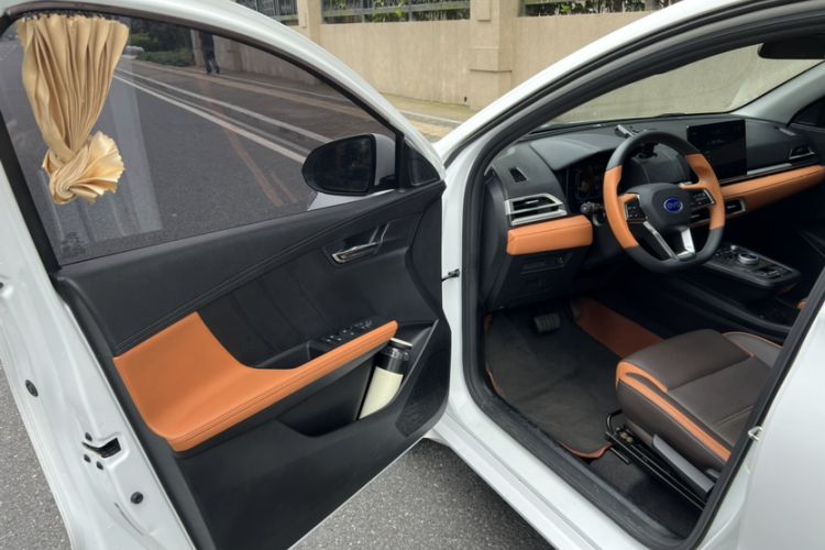 Used BYD e2 2020 Upgraded Version Long-Range Edition Luxury Model Interior 1