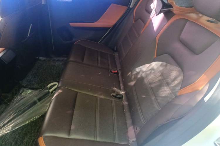 Used BYD e2 2020 Upgraded Version Long-Range Edition Luxury Model Interior 4
