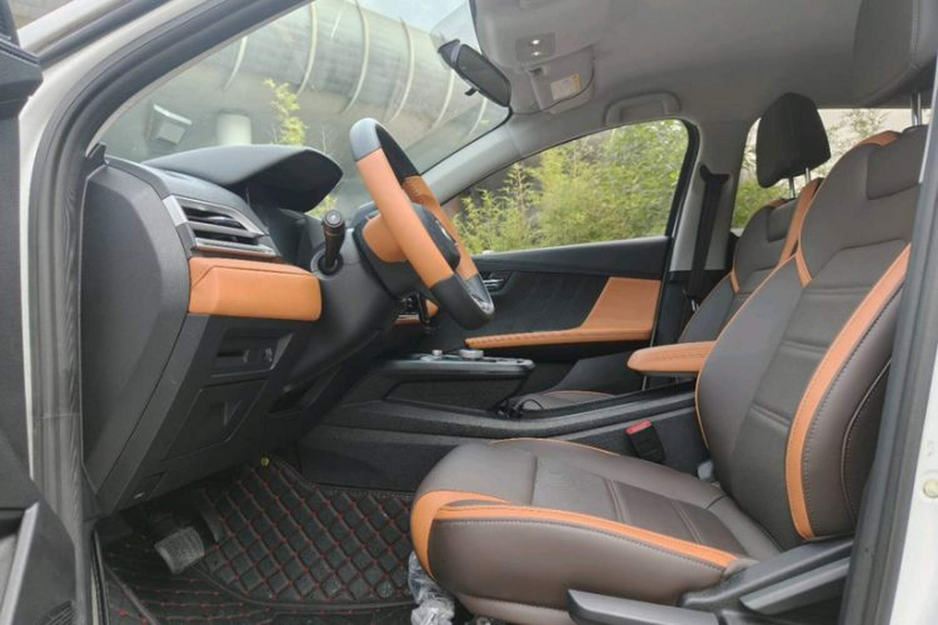Used BYD e2 2020 Upgraded Model Standard Range Version Comfort Edition Left Front Seat